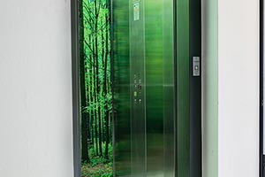 Fueglister Umbau leebg